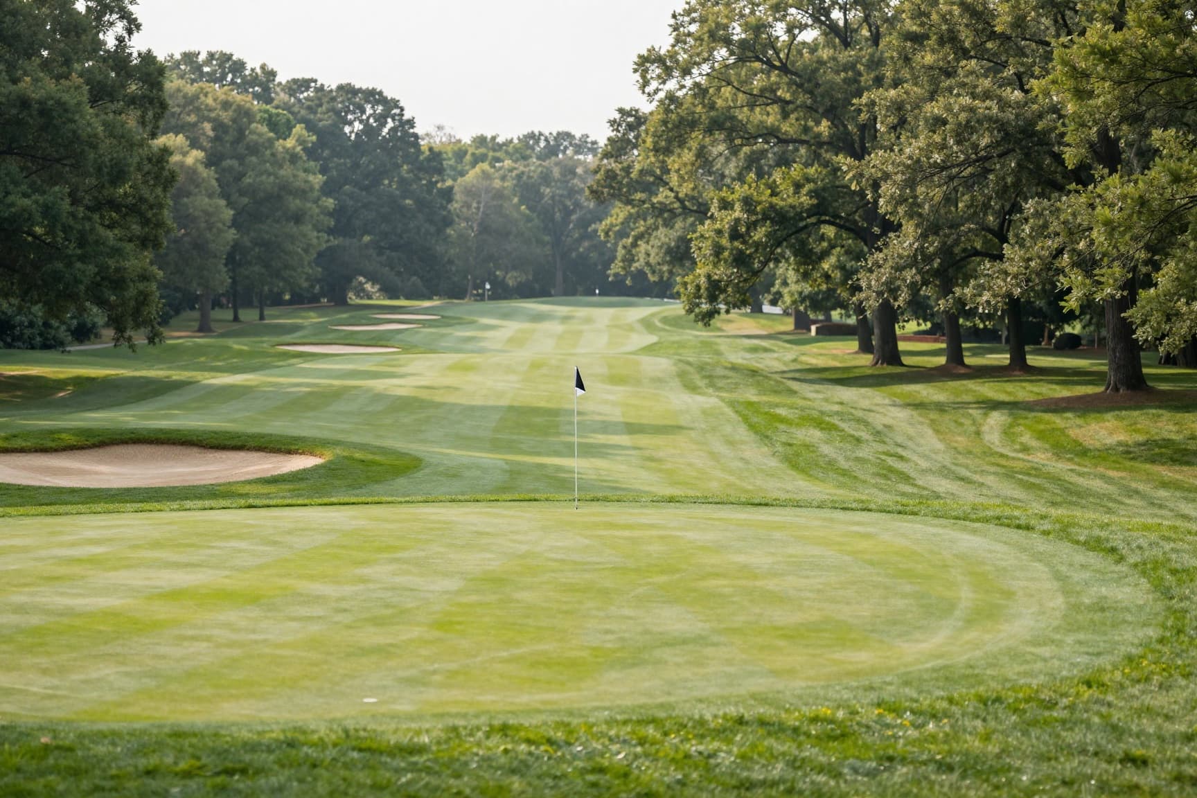 Classic Virginia golf course with bentgrass green and bunker complex, golden hour